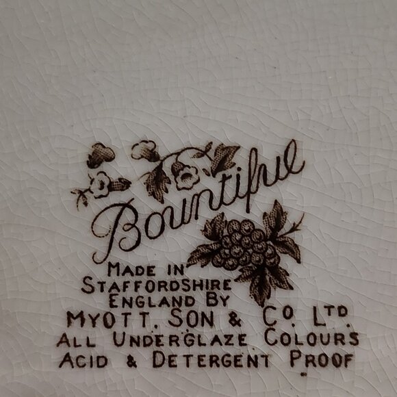 Bountiful brown by Myott Staffordshire England. Transferware Oval platter. 16.5 - Picture 7 of 13